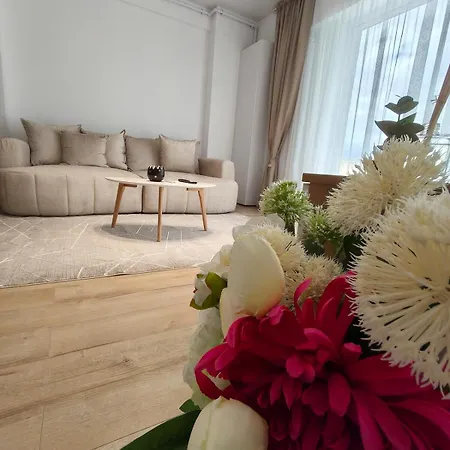 Nova Suite's 2 Apartment Navodari